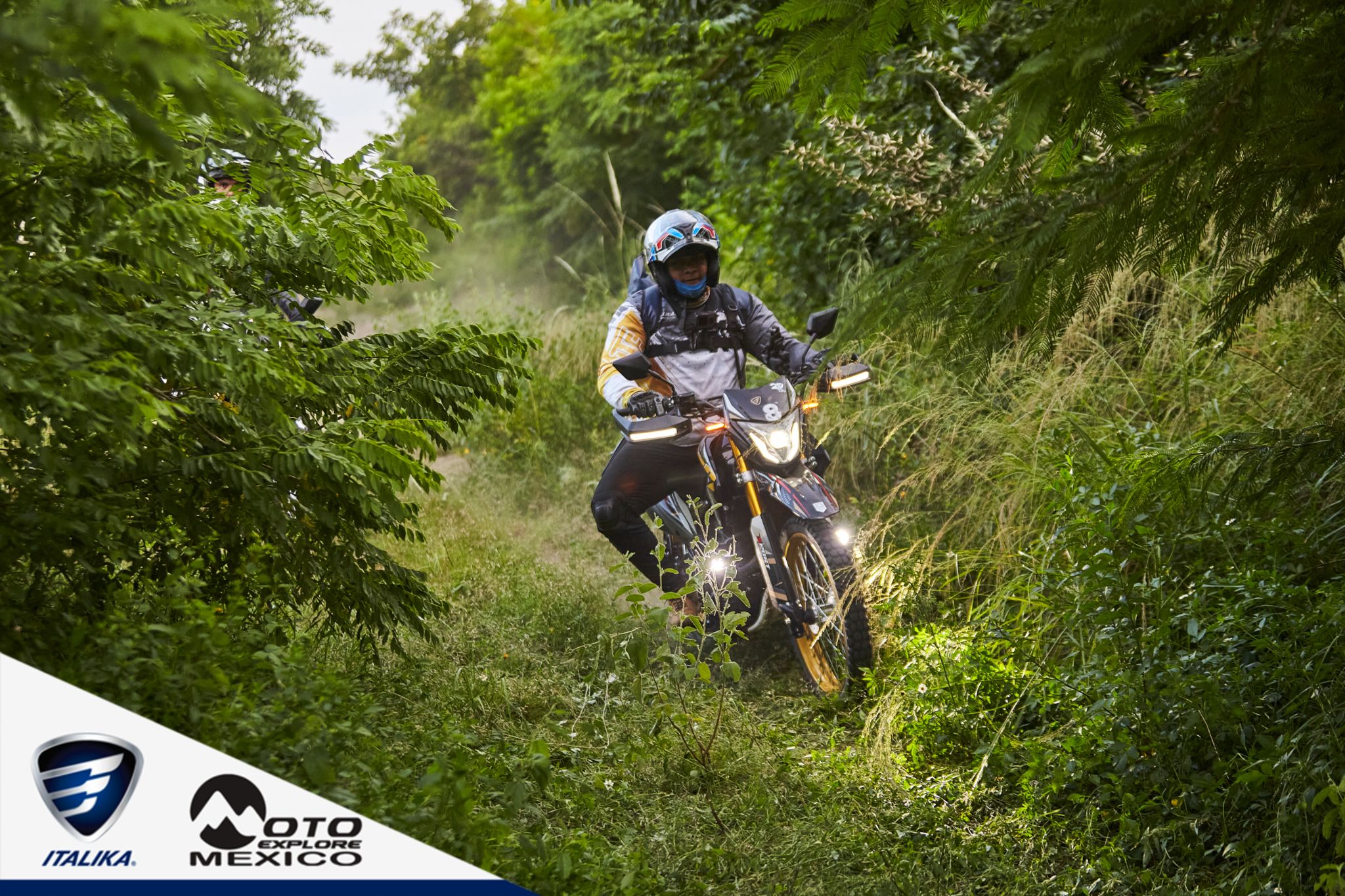 ITALIKA CHACHALACAS D1 394